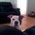 Heidi Sipes's profile image
