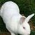 Sharla Sisk's profile image