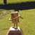 Matthew Curry's profile image