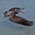 Jim Morford's profile image