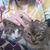 Tammy Winand's profile image