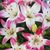 Sandy Knapp Miller's profile image