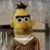 Amy Nelson's profile image