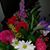 Deena McMasters's profile image