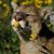 Valerie Zuver Oakleaf's profile image
