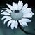 Jilly Cellucci's profile image