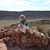 Karin Peck's profile image