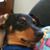 April Phillips's profile image