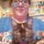 Hilliary Miller's profile image