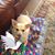 Connie Diehl's profile image