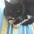 Sharon Barbin Moore's profile image