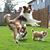 Kristi Leigh Walker's profile image