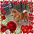 Lisa Kellum's profile image