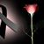 Francisco Cholico's profile image