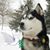Olaf D. Thompson's profile image
