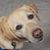 Yvonne Breukers's profile image