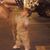 Deb Salazar's profile image