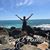 Trina Gilbreath Franks's profile image