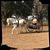 Katie Havens's profile image