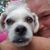Anne Rustic's profile image