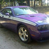 Tom Schneider's profile image