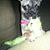 Gayle Rentsch's profile image