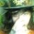 Austin Robe's profile image