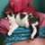 Sandy Vanhorn's profile image