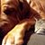 Charlie Marshburn's profile image