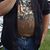 Tracy Tomaras's profile image