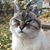 Paul Loughman's profile image