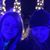 Jodi Kinnison's profile image