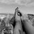 Sara Carrillo's profile image