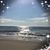 Kelley Foglia Reed's profile image