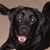 Denise Roady's profile image