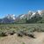 Judy Huttner Brown's profile image