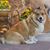 Tammy Hackens's profile image