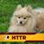 Kathy Boger's profile image