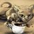 Jody Swearingen's profile image