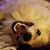 Barb Wiltzius's profile image