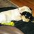 Lisa-Anne Raney Waldock's profile image