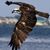 Bob Otten's profile image