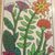 Theresa Mary Rooney's profile image