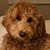 Lori McLuskey's profile image