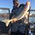 Dave Scoggins's profile image