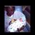 Shelley Lee McGinley's profile image