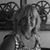Barb Haas's profile image
