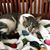 Pamela Sloma's profile image
