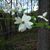 Mary Arabe's profile image