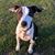 Vicky Bartle's profile image